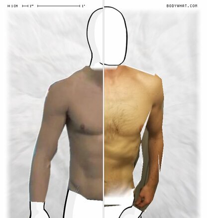 Torso Comparison