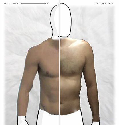 Torso Comparison