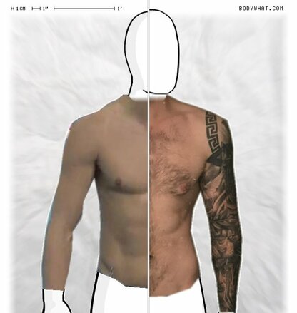 Torso Comparison