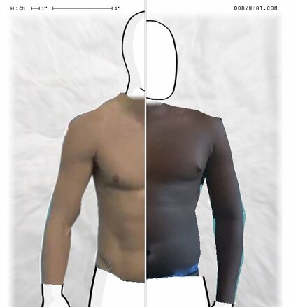 Torso Comparison