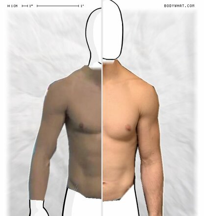 Torso Comparison