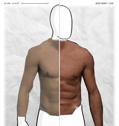 Torso Comparison