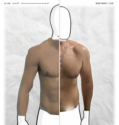 Torso Comparison