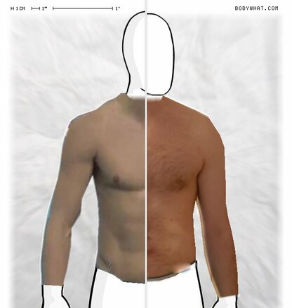 Torso Comparison