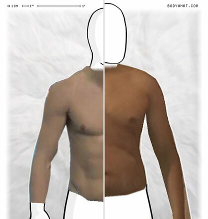 Torso Comparison