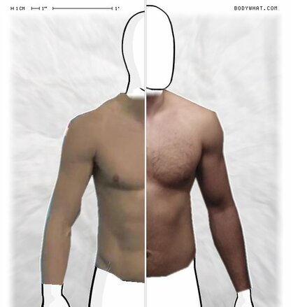 Torso Comparison