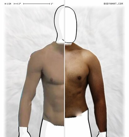 Torso Comparison