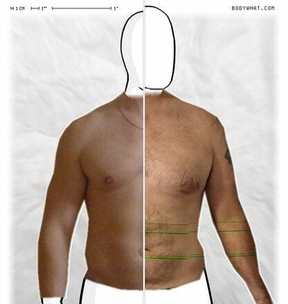 Torso Comparison