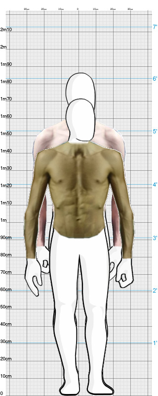 Full Size Comparison