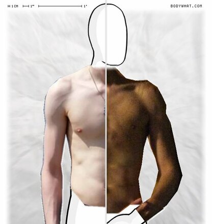 Torso Comparison