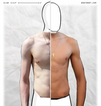 Torso Comparison