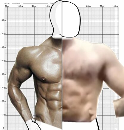 Torso Comparison