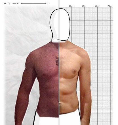 Torso Comparison