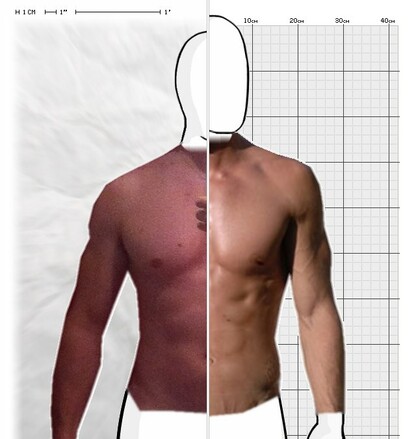 Torso Comparison