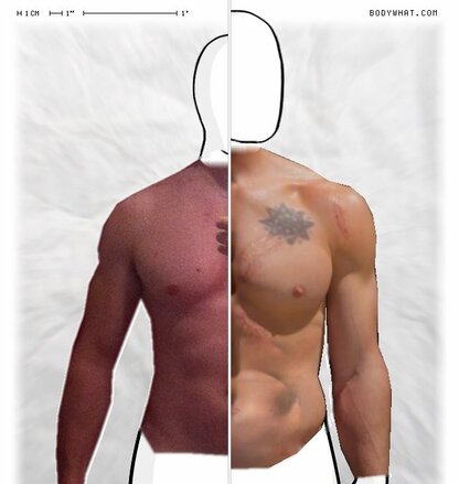 Torso Comparison