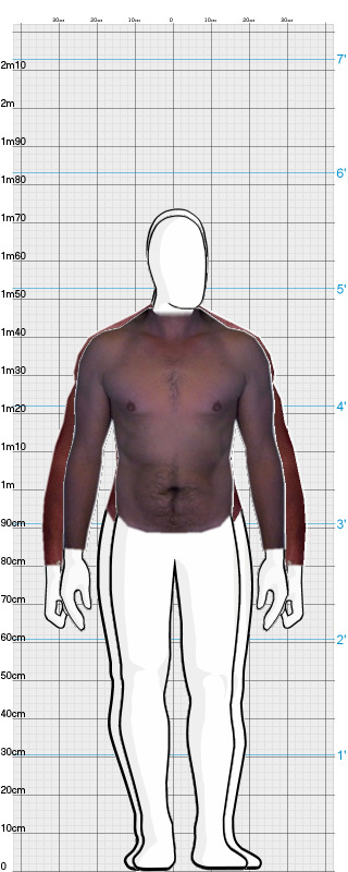 Full Size Comparison