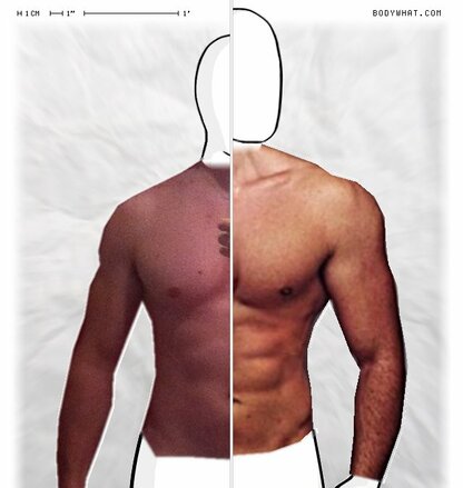 Torso Comparison