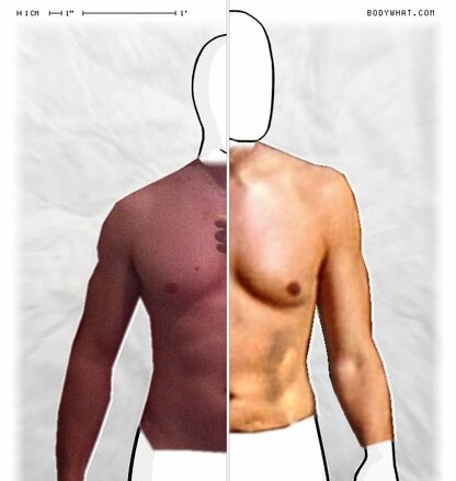 Torso Comparison