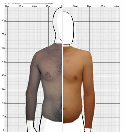 Torso Comparison