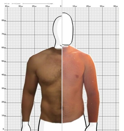 Torso Comparison