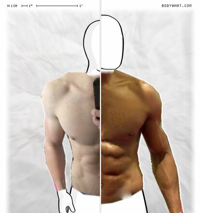 Torso Comparison