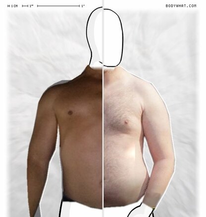 Torso Comparison