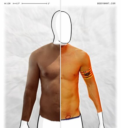 Torso Comparison