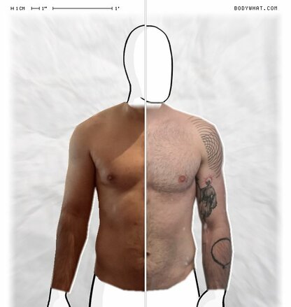 Torso Comparison