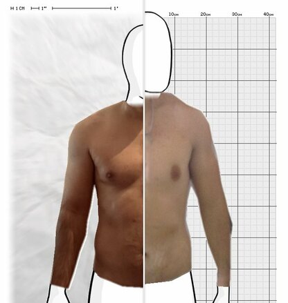 Torso Comparison