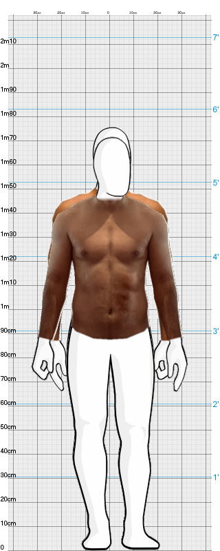 Full Size Comparison