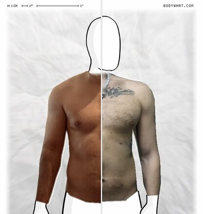 Torso Comparison
