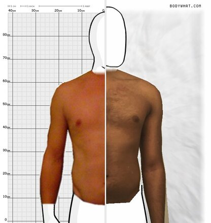 Torso Comparison