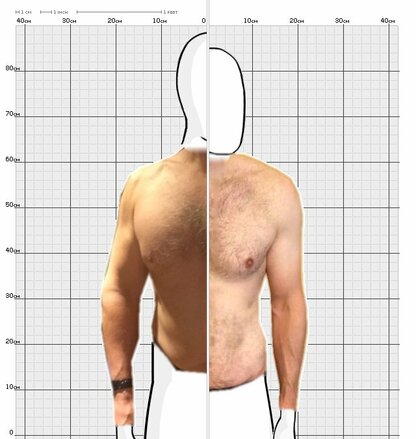 Torso Comparison