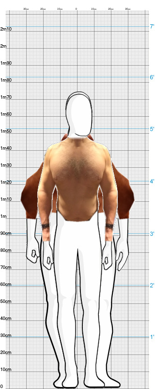 Full Size Comparison