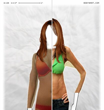 Torso Comparison