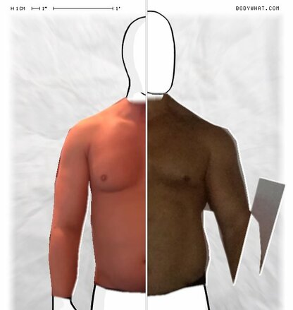 Torso Comparison