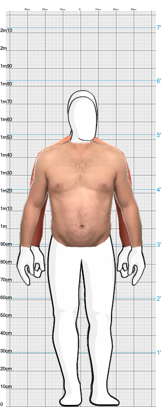 Full Size Comparison