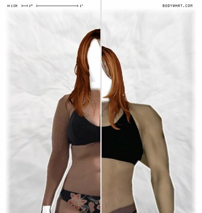 Torso Comparison