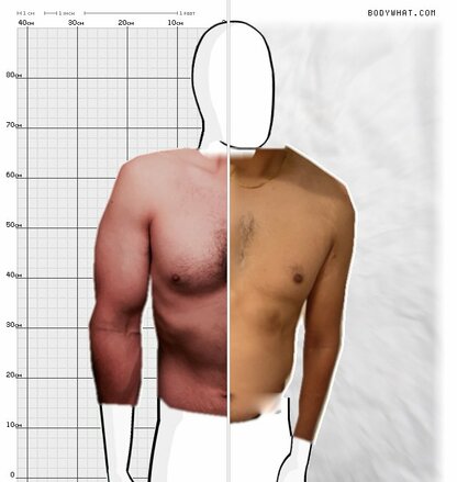 Torso Comparison