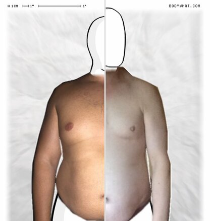 Torso Comparison