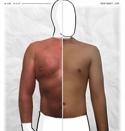 Torso Comparison