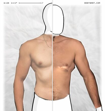 Torso Comparison