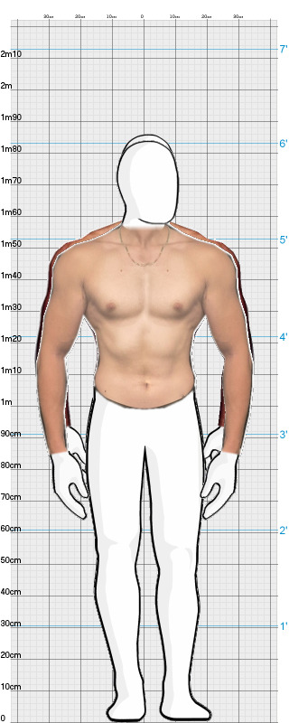 Full Size Comparison