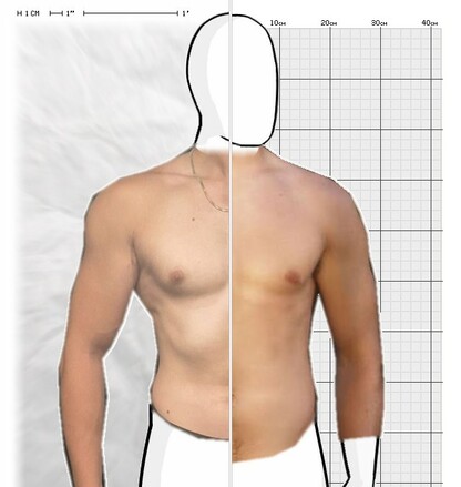 Torso Comparison