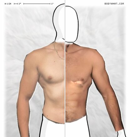 Torso Comparison