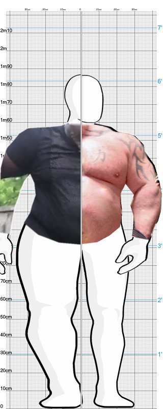 Full Size Comparison