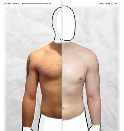 Torso Comparison