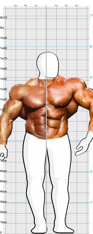 Full Size Comparison
