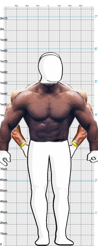 Full Size Comparison