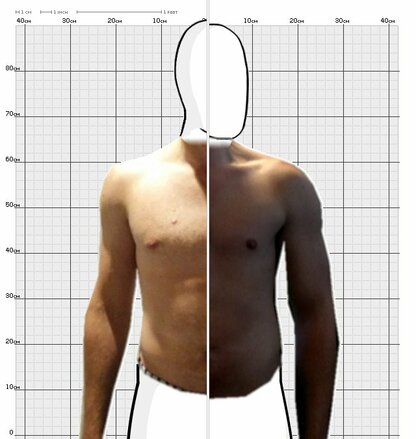 Torso Comparison
